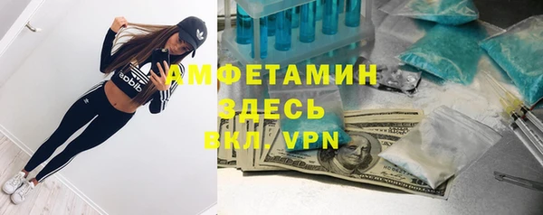 apvp Пестово