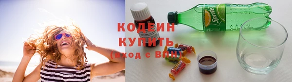 дурь Пересвет