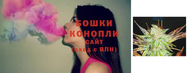 apvp Пестово