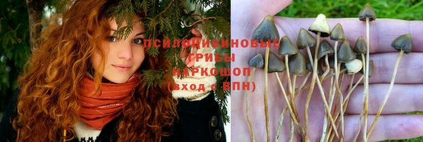 apvp Пестово