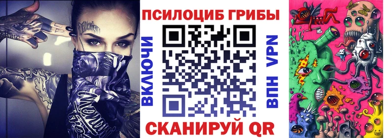 Галлюциногенные грибы Psilocybe  Купить  Кореновск 